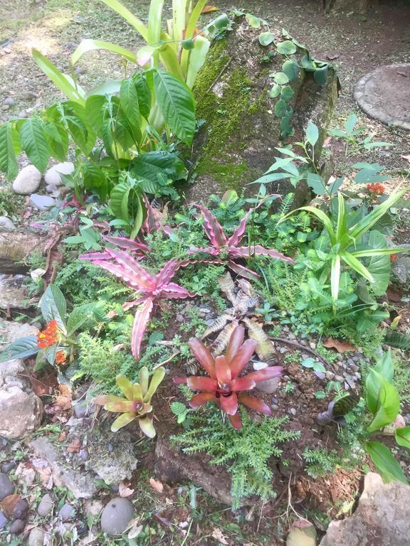 Jungle Beach Bungalow With Ac & Fiber Optic Puerto Viejo de Talamanca Zewnętrze zdjęcie